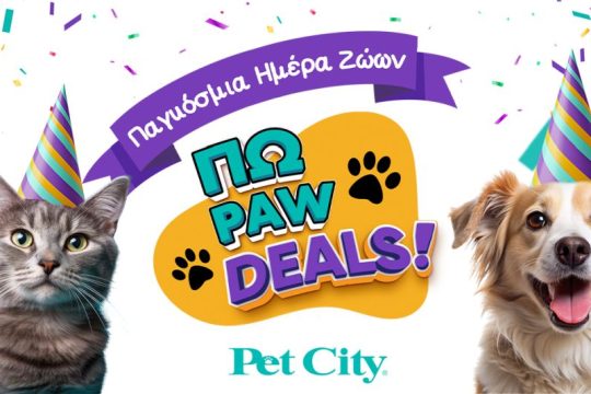 PET CITY